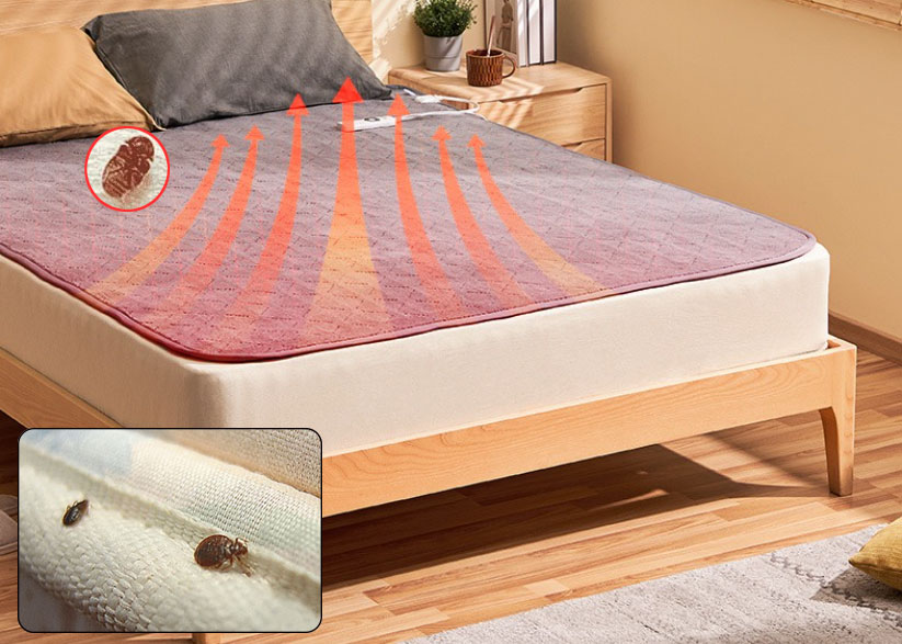 Can Electric Blankets Kill Bed Bugs? How to Banish Them